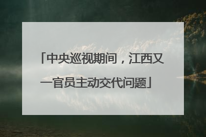 中央巡视期间，江西又一官员主动交代问题