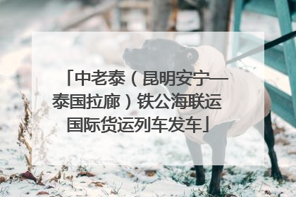 中老泰（昆明安宁—泰国拉廊）铁公海联运国际货运列车发车