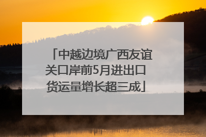 中越边境广西友谊关口岸前5月进出口货运量增长超三成