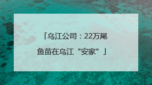 乌江公司：22万尾鱼苗在乌江“安家”