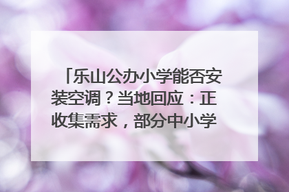 乐山公办小学能否安装空调？当地回应：正收集需求，部分中小学已启动安装｜云求助