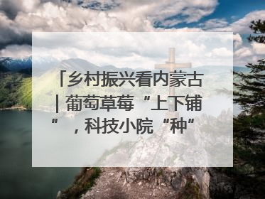 乡村振兴看内蒙古｜葡萄草莓“上下铺”，科技小院“种”出三倍效益