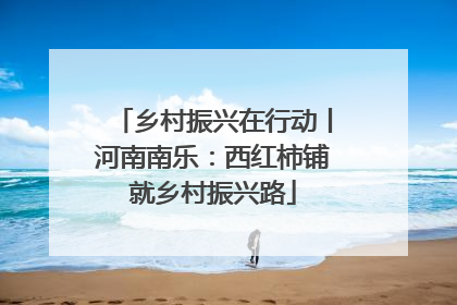 乡村振兴在行动丨河南南乐：西红柿铺就乡村振兴路