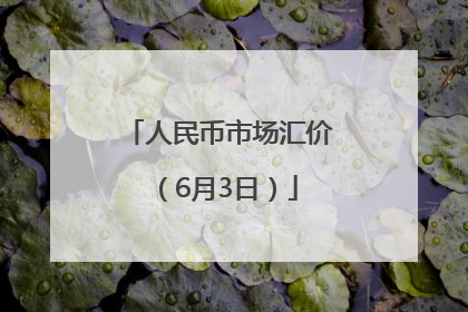 人民币市场汇价（6月3日）