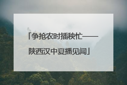 争抢农时插秧忙——陕西汉中夏播见闻