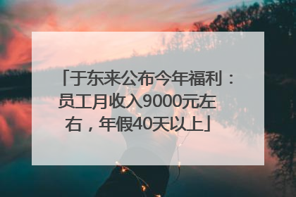 于东来公布今年福利：员工月收入9000元左右，年假40天以上