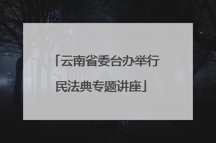云南省委台办举行民法典专题讲座