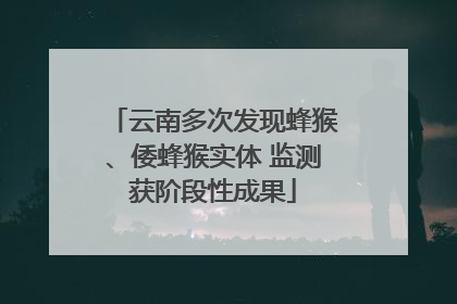 云南多次发现蜂猴、倭蜂猴实体 监测获阶段性成果