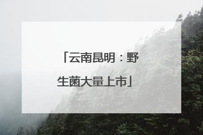 云南昆明：野生菌大量上市