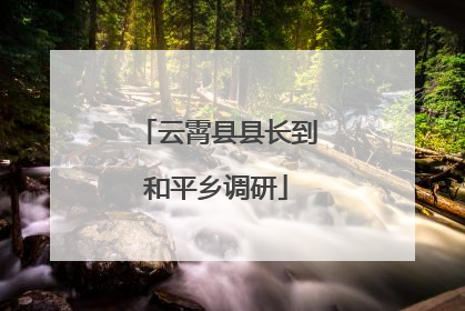 云霄县县长到和平乡调研