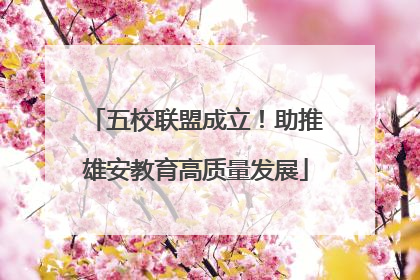 五校联盟成立！助推雄安教育高质量发展