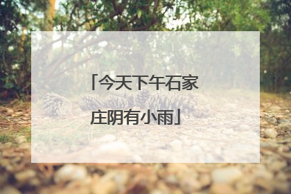 今天下午石家庄阴有小雨