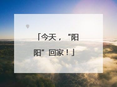 今天，“阳阳”回家！