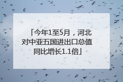 今年1至5月，河北对中亚五国进出口总值同比增长1.1倍