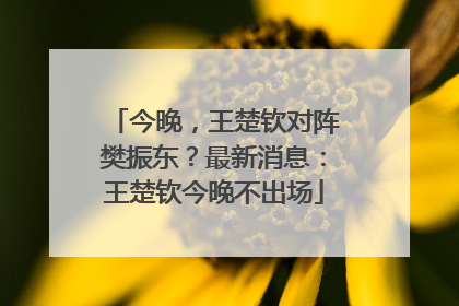 今晚，王楚钦对阵樊振东？最新消息：王楚钦今晚不出场