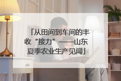 从田间到车间的丰收“接力”——山东夏季农业生产见闻