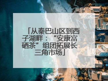 从秦巴山区到西子湖畔：“安康富硒茶”组团拓展长三角市场