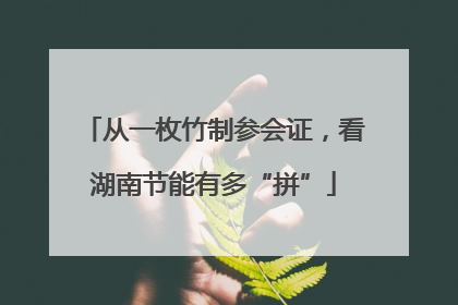 从一枚竹制参会证，看湖南节能有多“拼”