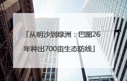 从明沙到绿洲：巴图26年种出700亩生态防线
