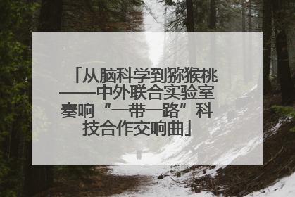 从脑科学到猕猴桃——中外联合实验室奏响“一带一路”科技合作交响曲