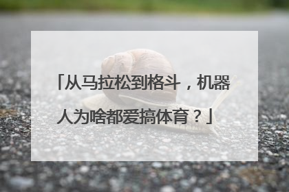 从马拉松到格斗，机器人为啥都爱搞体育？