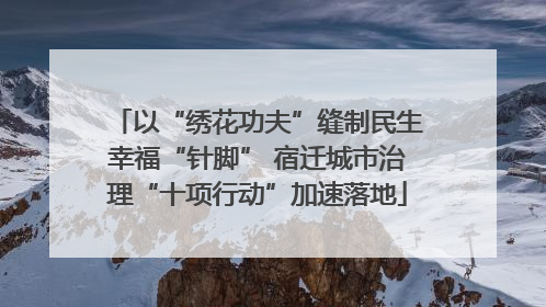 以“绣花功夫”缝制民生幸福“针脚” 宿迁城市治理“十项行动”加速落地