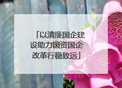 以清廉国企建设助力国资国企改革行稳致远