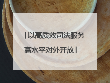 以高质效司法服务高水平对外开放