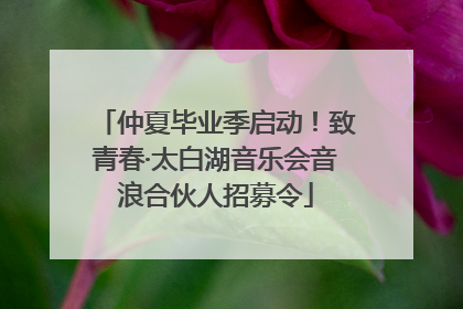 仲夏毕业季启动！致青春·太白湖音乐会音浪合伙人招募令