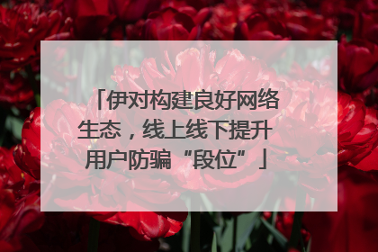 伊对构建良好网络生态，线上线下提升用户防骗“段位”