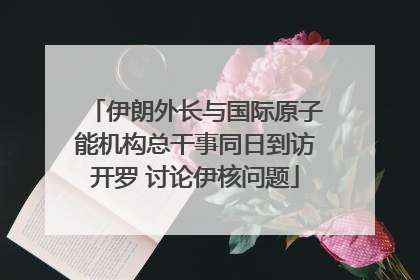 伊朗外长与国际原子能机构总干事同日到访开罗 讨论伊核问题
