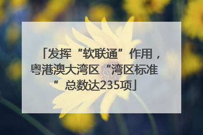 发挥“软联通”作用，粤港澳大湾区“湾区标准”总数达235项