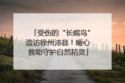 受伤的“长嘴鸟”造访徐州沛县！暖心救助守护自然精灵