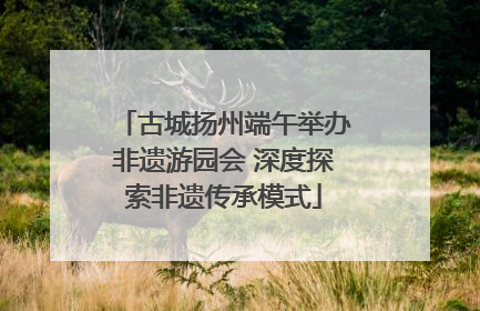 古城扬州端午举办非遗游园会 深度探索非遗传承模式