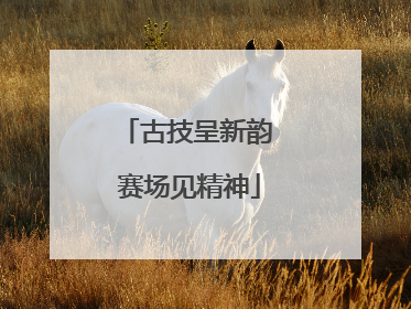古技呈新韵 赛场见精神