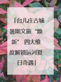 台儿庄古城暑期文旅“焕新” 四大维度解锁运河夏日奇遇