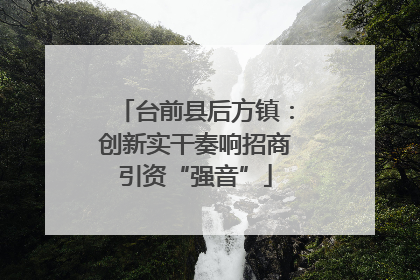 台前县后方镇：创新实干奏响招商引资“强音”