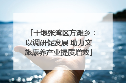 十堰张湾区方滩乡：以调研促发展 助力文旅康养产业提质增效