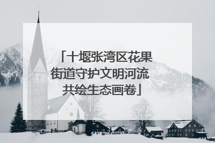 十堰张湾区花果街道守护文明河流 共绘生态画卷