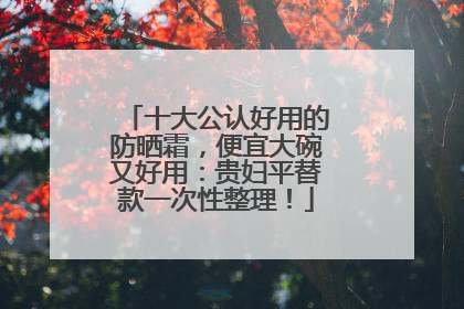 十大公认好用的防晒霜，便宜大碗又好用：贵妇平替款一次性整理！