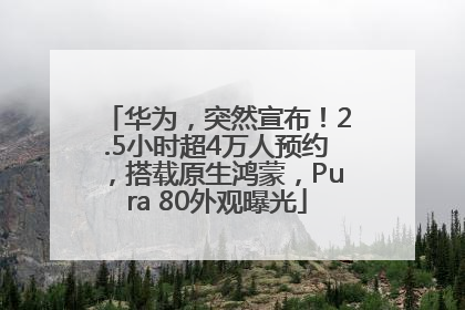 华为，突然宣布！2.5小时超4万人预约，搭载原生鸿蒙，Pura 80外观曝光
