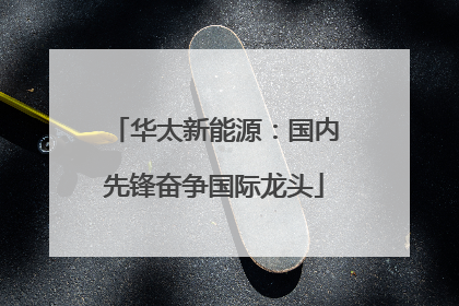 华太新能源：国内先锋奋争国际龙头