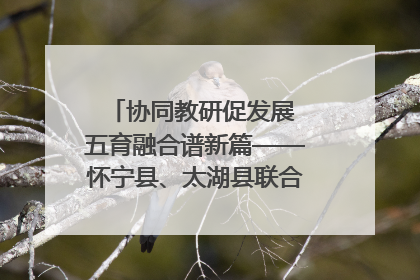 协同教研促发展 五育融合谱新篇——怀宁县、太湖县联合教研活动在月山镇中心学校成功举办