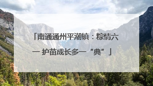 南通通州平潮镇：粽情六一 护苗成长多一“典”
