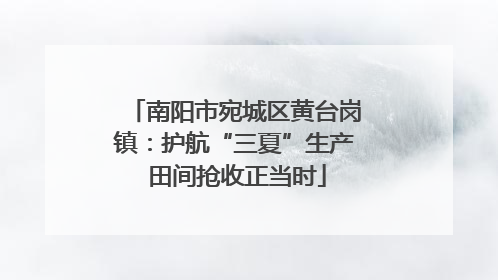 南阳市宛城区黄台岗镇：护航“三夏”生产 田间抢收正当时