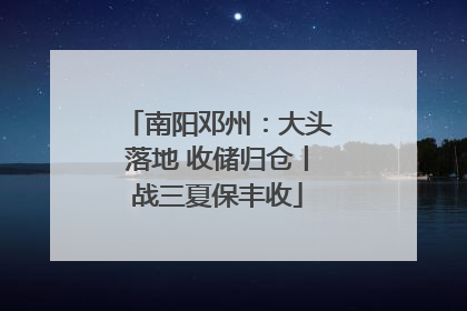 南阳邓州：大头落地 收储归仓丨战三夏保丰收