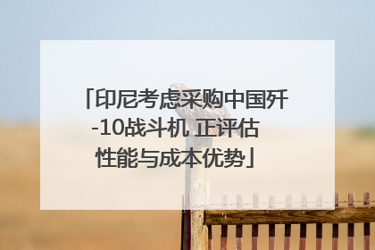印尼考虑采购中国歼-10战斗机 正评估性能与成本优势