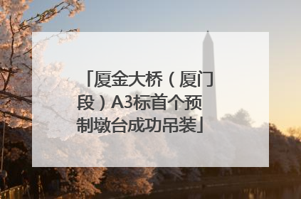 厦金大桥（厦门段）A3标首个预制墩台成功吊装