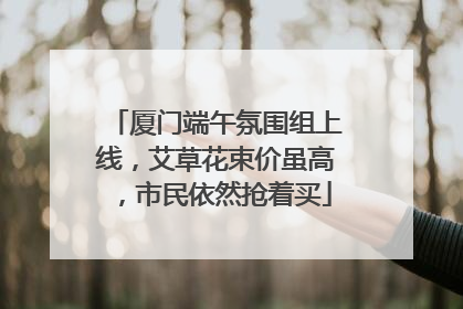 厦门端午氛围组上线，艾草花束价虽高，市民依然抢着买