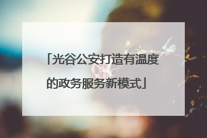 光谷公安打造有温度的政务服务新模式